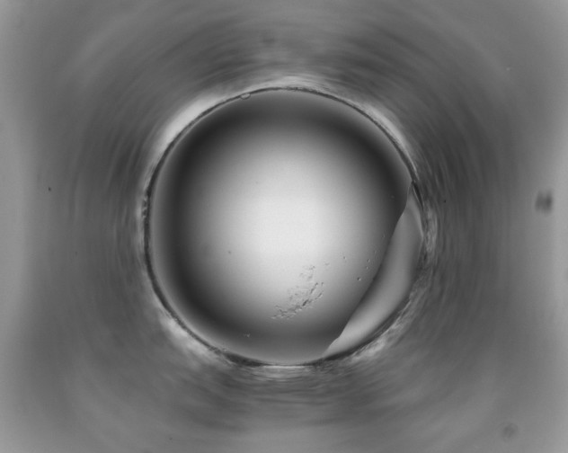 X0000091851151200709051141