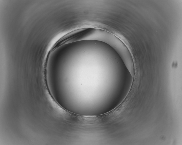 X0000091851152200709051141