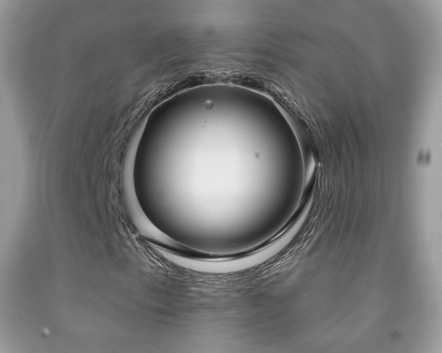 X0000091851153200709051140