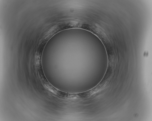 X0000091851154200709051140