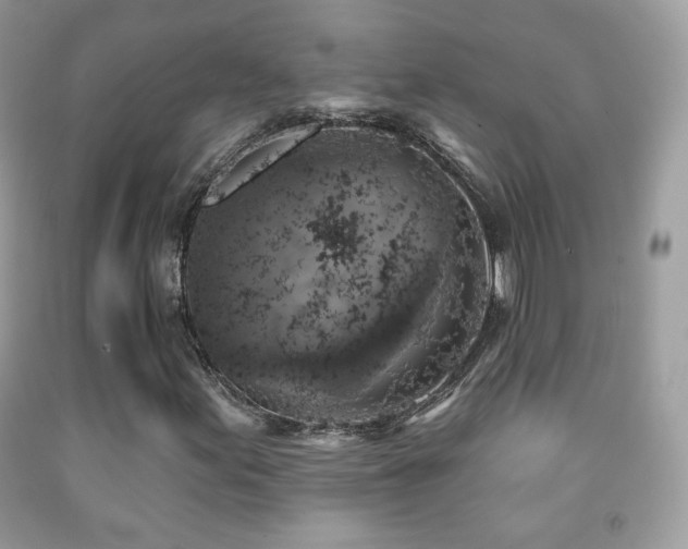 X0000091851155200709051140