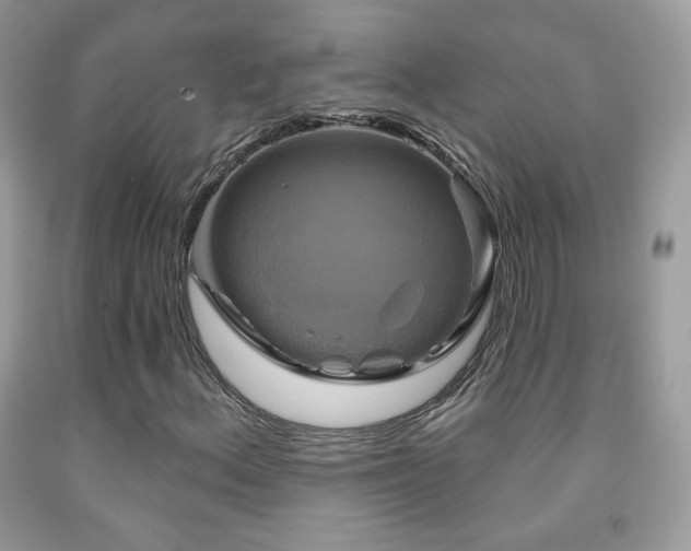 X0000091851156200709051140