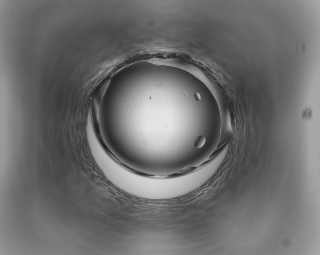 X0000091851157200709051140