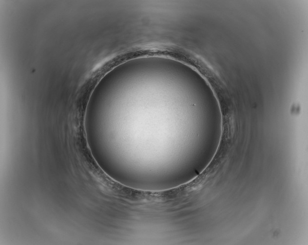 X0000091851158200709051140