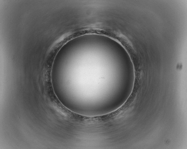 X0000091851159200709051140