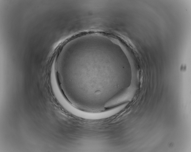 X0000091851160200709051140