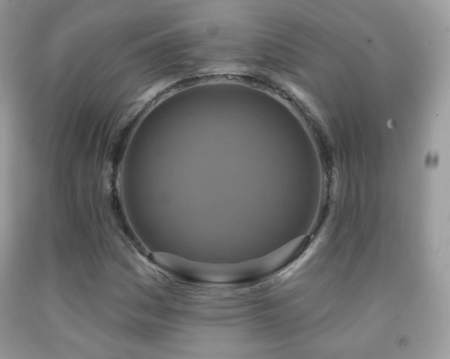 X0000091851161200709051140