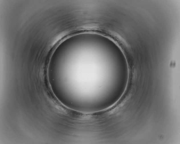 X0000091851162200709051140
