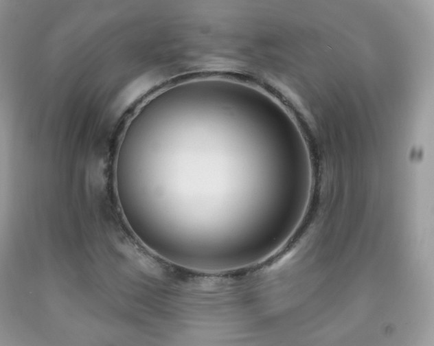 X0000091851163200709051140