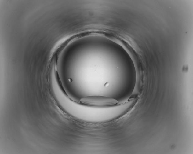 X0000091851164200709051140