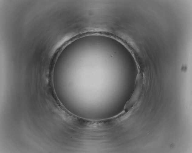 X0000091851165200709051140