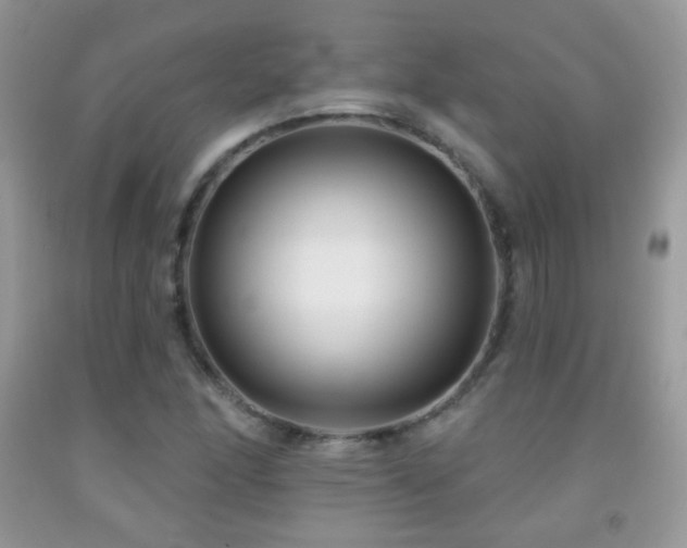 X0000091851166200709051140