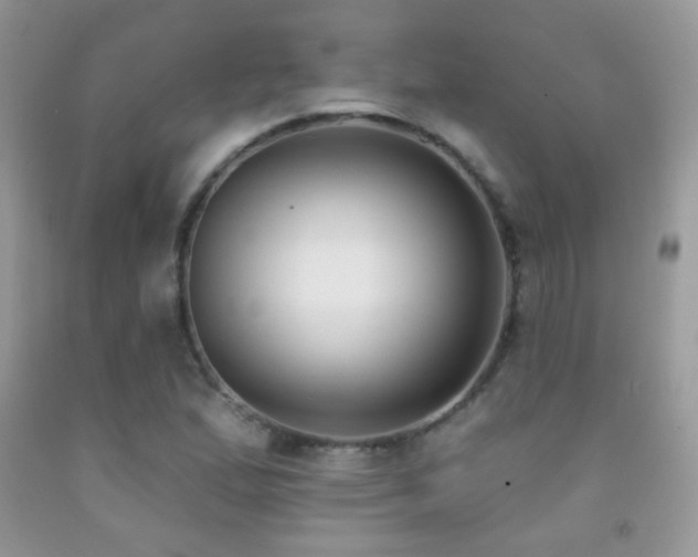 X0000091851167200709051140