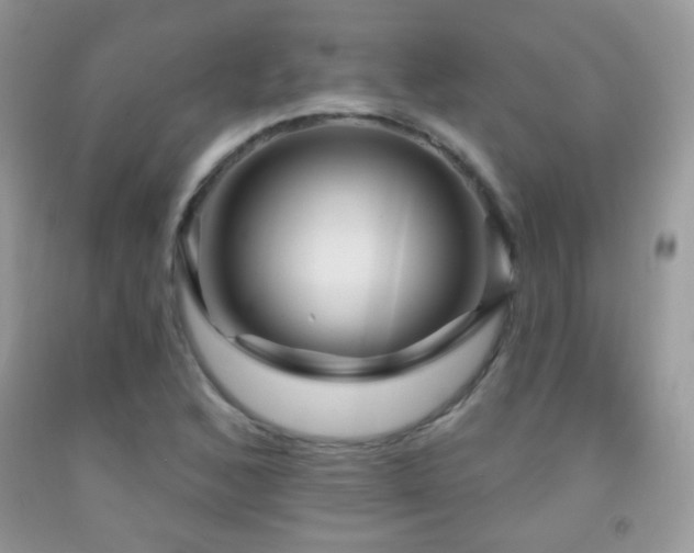 X0000091851168200709051140