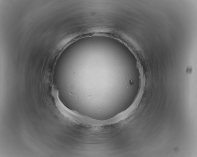 X0000091851169200709051140