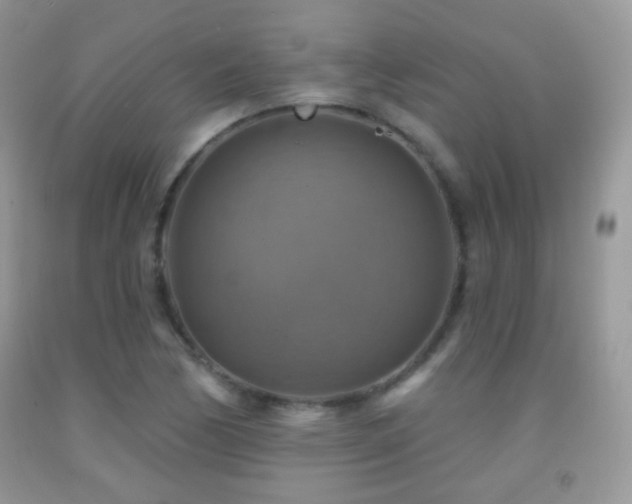 X0000091851170200709051140