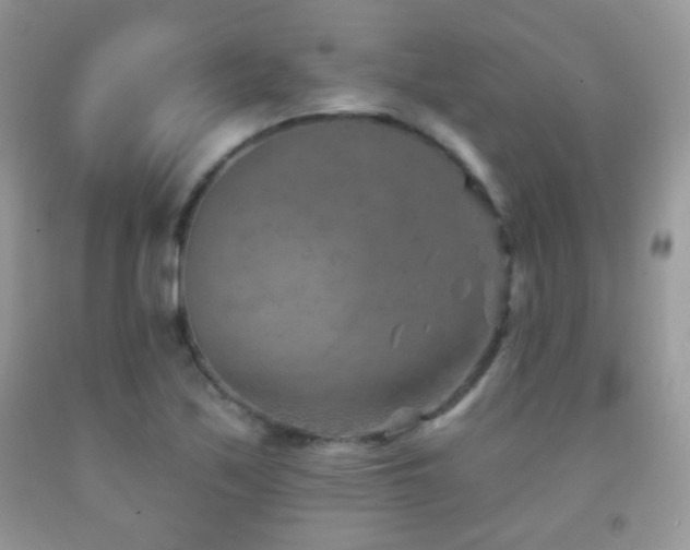 X0000091851171200709051140