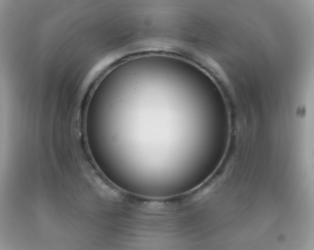 X0000091851172200709051140
