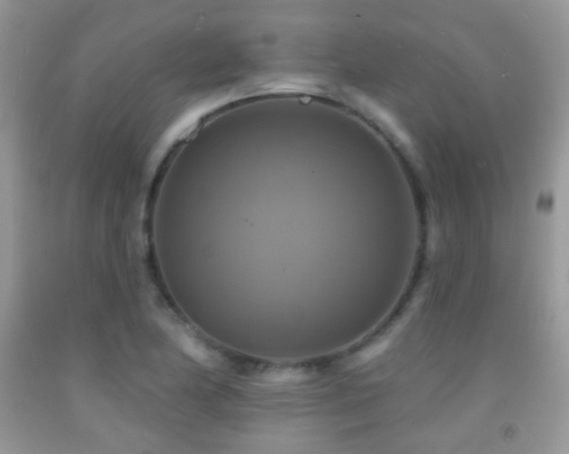 X0000091851174200709051140