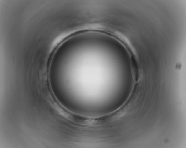 X0000091851176200709051140