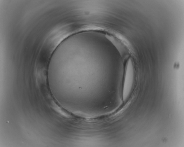 X0000091851177200709051140