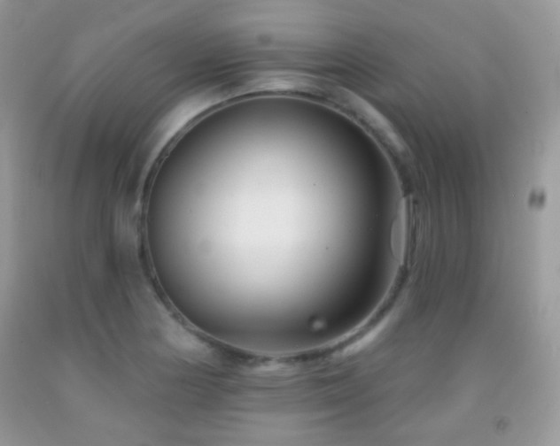 X0000091851178200709051140