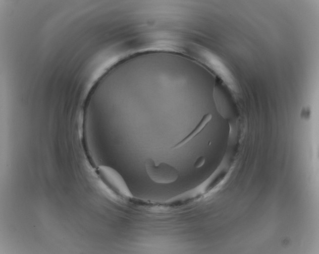X0000091851180200709051140