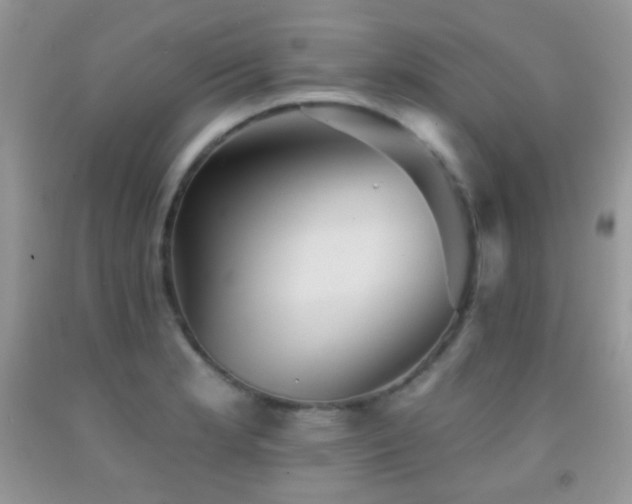 X0000091851181200709051140