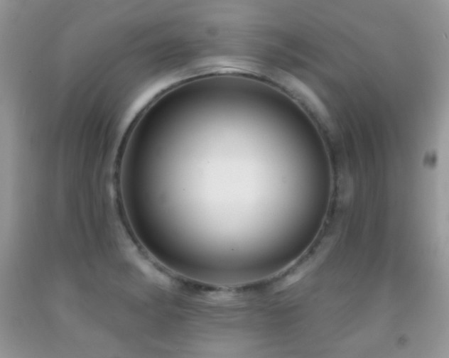 X0000091851182200709051140
