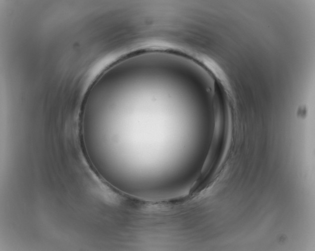 X0000091851183200709051140