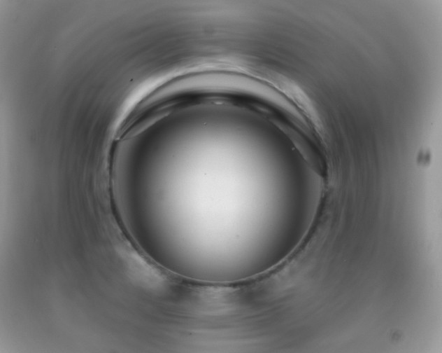 X0000091851184200709051140