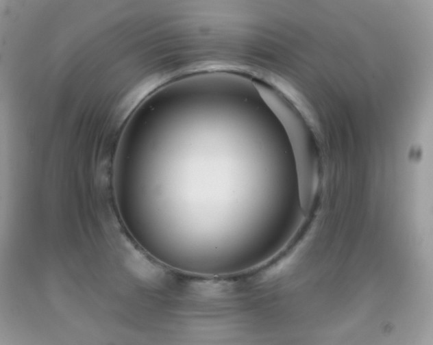 X0000091851185200709051140