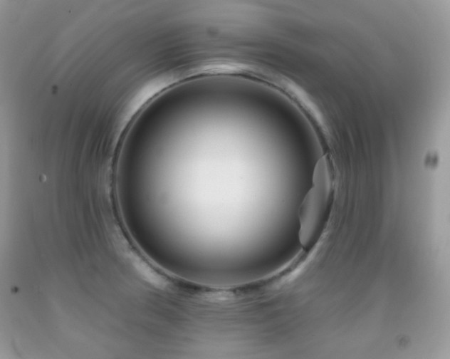 X0000091851186200709051140