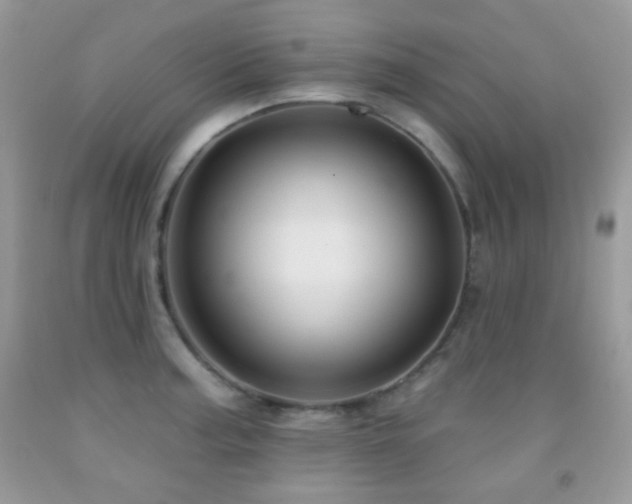 X0000091851187200709051140