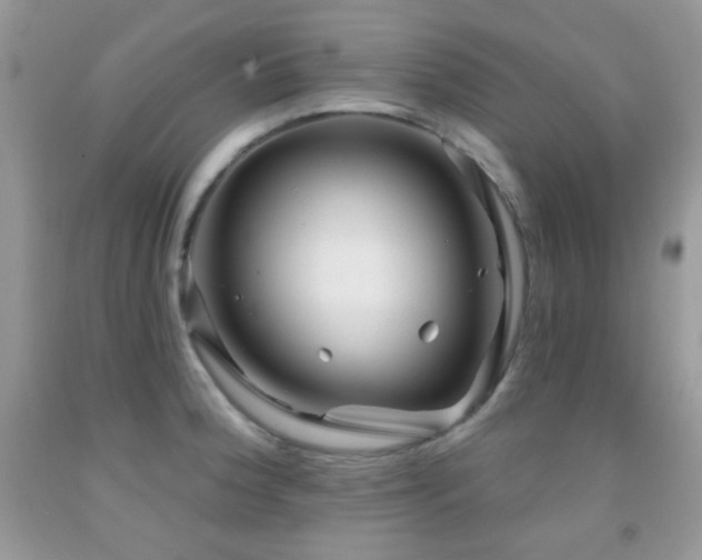 X0000091851188200709051140