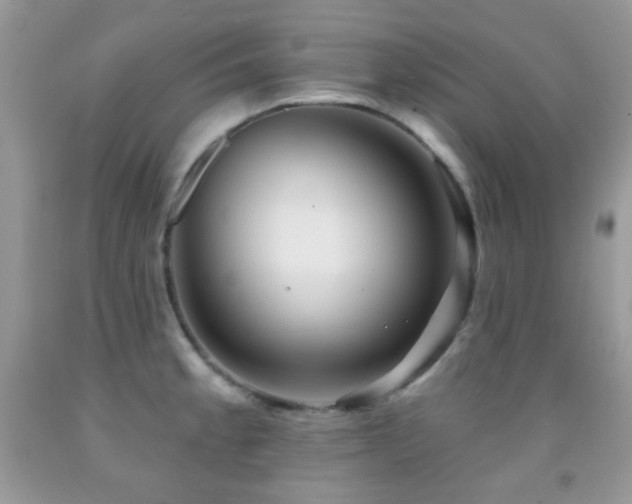 X0000091851189200709051140