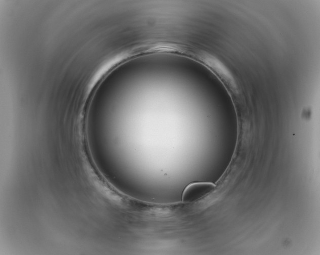 X0000091851190200709051140
