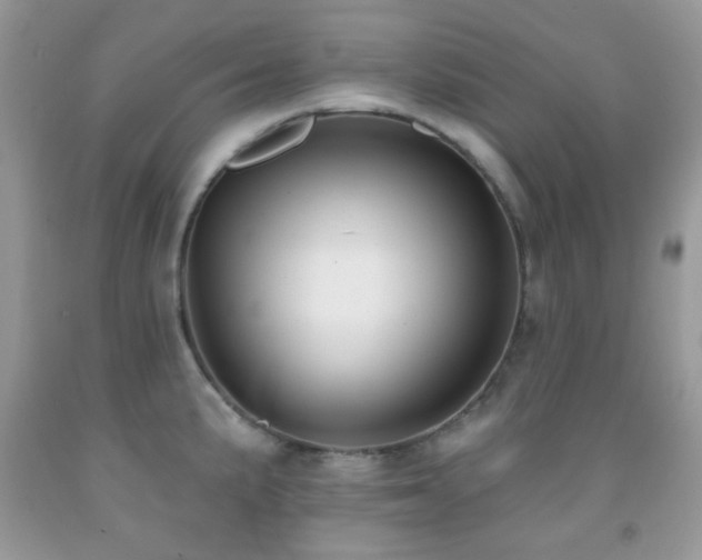 X0000091851191200709051140