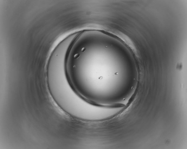 X0000091851192200709051140