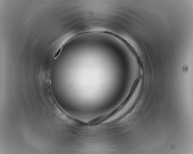 X0000091851193200709051140