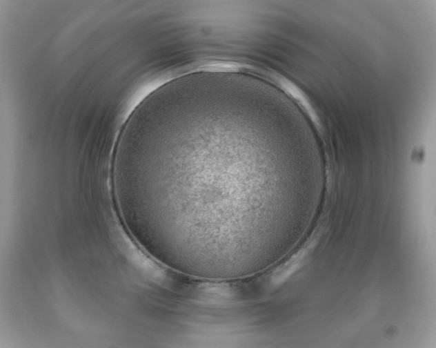 X0000091851194200709051140