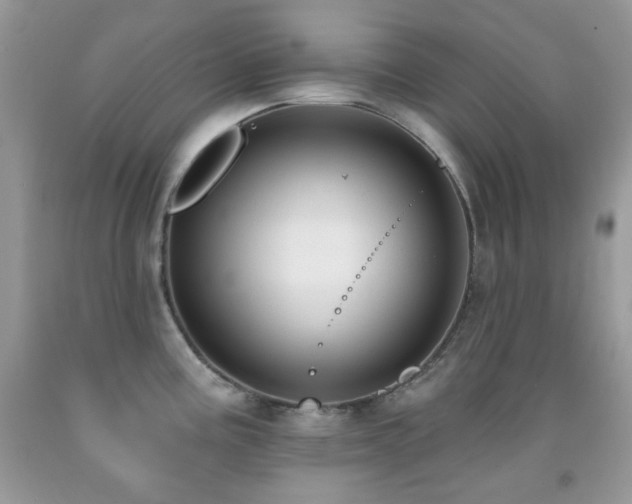 X0000091851195200709051140