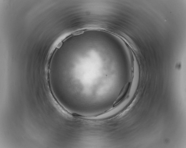 X0000091851196200709051140