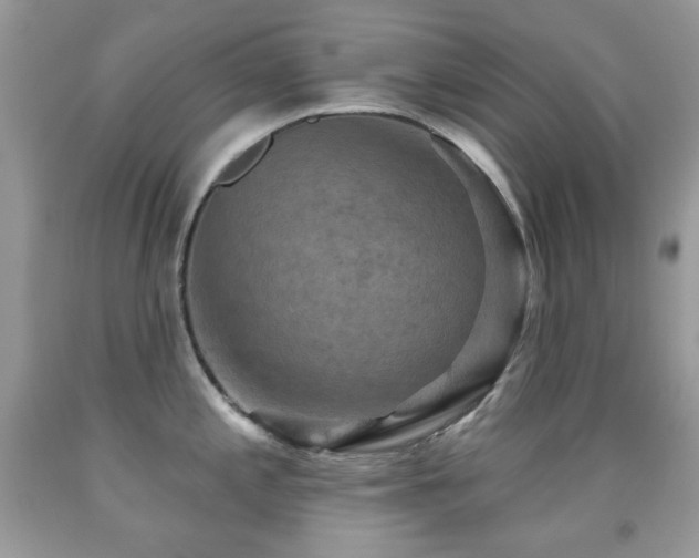 X0000091851197200709051140