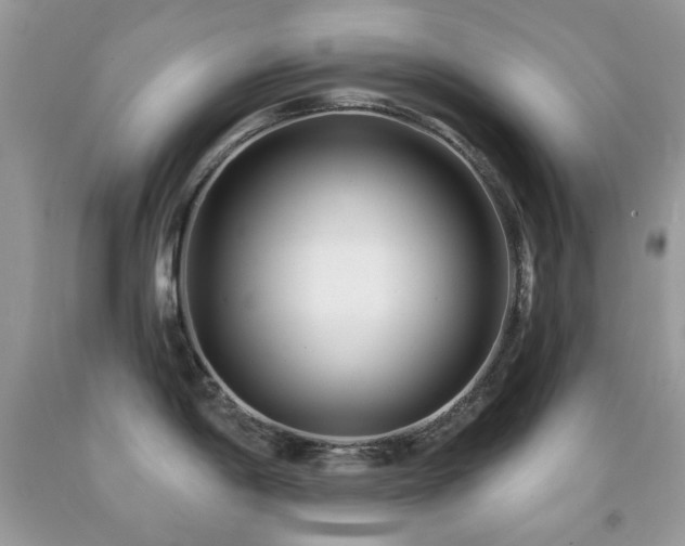 X0000091851198200709051140