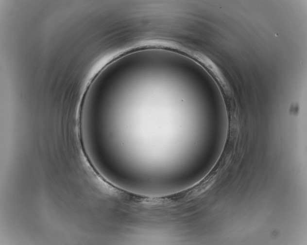 X0000091851199200709051140