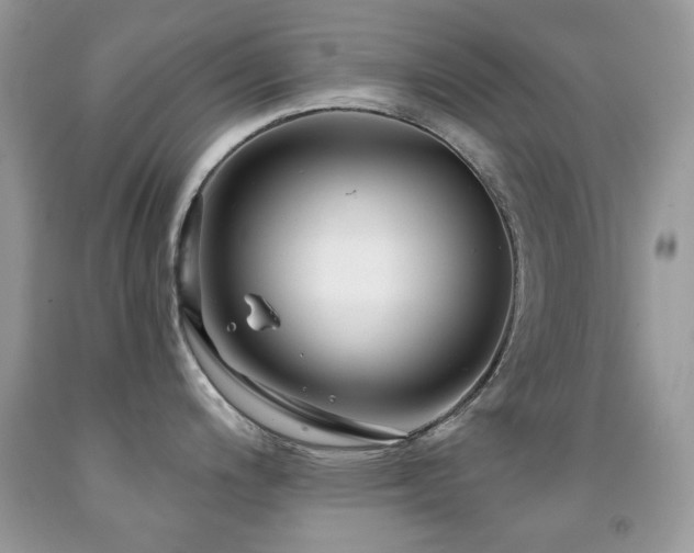 X0000091851200200709051140