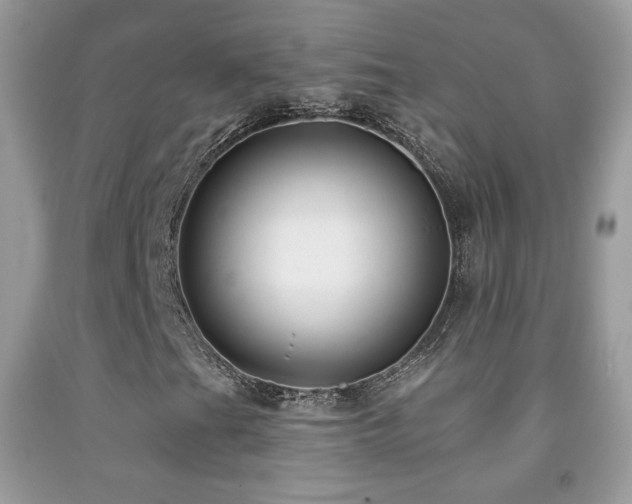 X0000091851201200709051139