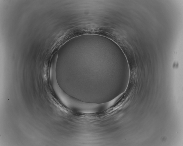 X0000091851202200709051139