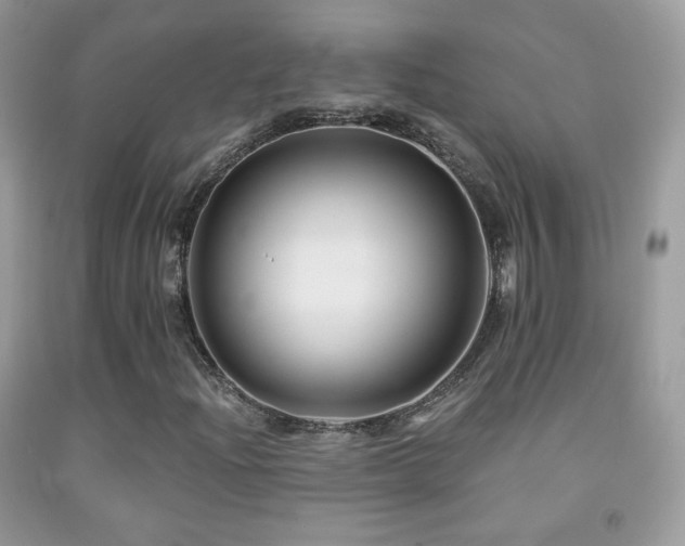 X0000091851204200709051139